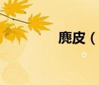 麂皮（說一說麂皮的簡介）