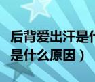 后背愛出汗是什么原因怎么解決（后背愛出汗是什么原因）