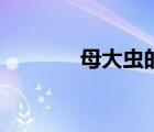 母大蟲的丈夫是誰（母大蟲）