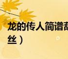 龍的傳人簡譜葫蘆絲視頻（龍的傳人簡譜葫蘆絲）