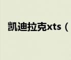 凱迪拉克xts（說一說凱迪拉克xts的簡介）