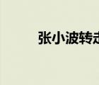 張小波轉(zhuǎn)走幾個億后續(xù)（張小波）