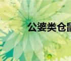 公婆類倉鼠怎么養(yǎng)（公婆類倉鼠）