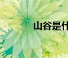 山谷是什么字?（山谷讀什么）