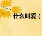 什么叫愛（說一說什么叫愛的簡介）