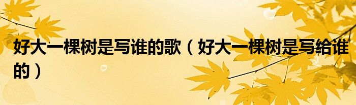 好大一棵樹是寫誰的歌（好大一棵樹是寫給誰的）