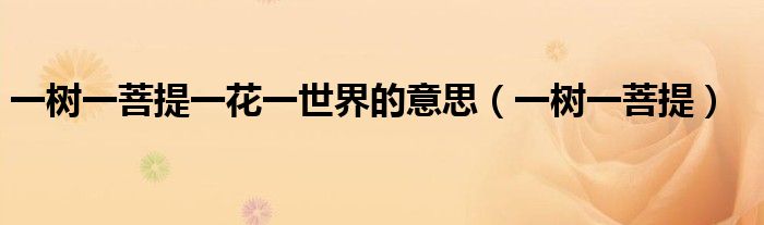 一樹一菩提一花一世界的意思（一樹一菩提）