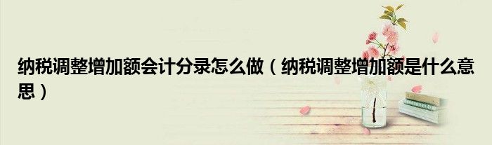 納稅調(diào)整增加額會計分錄怎么做（納稅調(diào)整增加額是什么意思）