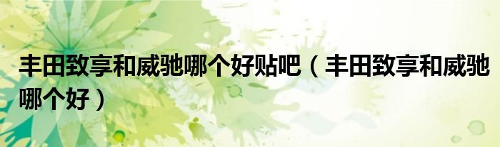 豐田致享和威馳哪個(gè)好貼吧（豐田致享和威馳哪個(gè)好）