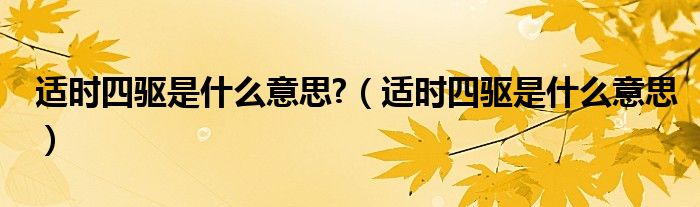 適時(shí)四驅(qū)是什么意思?（適時(shí)四驅(qū)是什么意思）