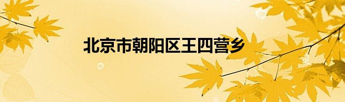 北京市朝陽區(qū)王四營鄉(xiāng)