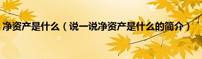 凈資產是什么（說一說凈資產是什么的簡介）