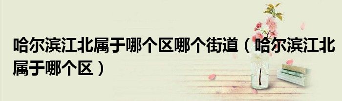 哈爾濱江北屬于哪個區(qū)哪個街道（哈爾濱江北屬于哪個區(qū)）