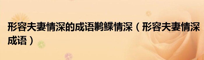 形容夫妻情深的成語鶼鰈情深（形容夫妻情深成語）