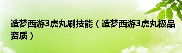 造夢西游3虎丸刷技能（造夢西游3虎丸極品資質(zhì)）
