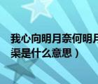 我心向明月奈何明月照溝渠全句（我心向明月奈何明月照溝渠是什么意思）