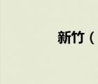 新竹（說一說新竹的簡介）