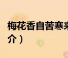 梅花香自苦寒來（說一說梅花香自苦寒來的簡介）