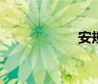 安規(guī)標(biāo)準(zhǔn)（安規(guī)網(wǎng)）