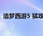 造夢(mèng)西游5 猛攻（造夢(mèng)西游5韌性有什么用）