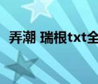 弄潮 瑞根txt全集下載（弄潮txt全集下載）