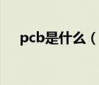 pcb是什么（說一說pcb是什么的簡介）