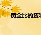 黃金比的資料300字（黃金比的資料）