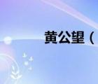 黃公望（說(shuō)一說(shuō)黃公望的簡(jiǎn)介）