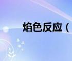 焰色反應(yīng)（說一說焰色反應(yīng)的簡介）