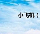 小飛機(jī)（說一說小飛機(jī)的簡(jiǎn)介）