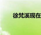 徐梵溪現(xiàn)在的老公（徐梵溪的丈夫）