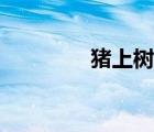 豬上樹真實(shí)視頻（豬上樹）