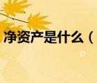 凈資產(chǎn)是什么（說一說凈資產(chǎn)是什么的簡介）