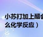 小蘇打加上醋會(huì)怎么樣（小蘇打加醋起的是什么化學(xué)反應(yīng)）