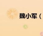 魏小軍（說(shuō)一說(shuō)魏小軍的簡(jiǎn)介）