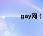 gay網(wǎng)（說一說gay網(wǎng)的簡介）