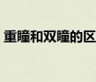 重瞳和雙瞳的區(qū)別圖片（重瞳和雙瞳的區(qū)別）