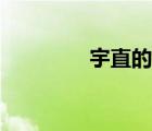 宇直的含義是什么（宇直）