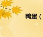 鴨蛋（說一說鴨蛋的簡介）