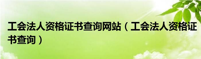 工會(huì)法人資格證書查詢網(wǎng)站（工會(huì)法人資格證書查詢）