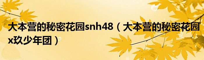 大本營的秘密花園snh48（大本營的秘密花園x玖少年團(tuán)）