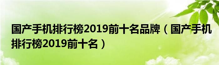 國產手機排行榜2019前十名品牌（國產手機排行榜2019前十名）