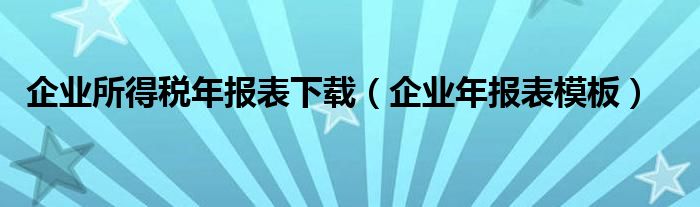 企業(yè)所得稅年報(bào)表下載（企業(yè)年報(bào)表模板）