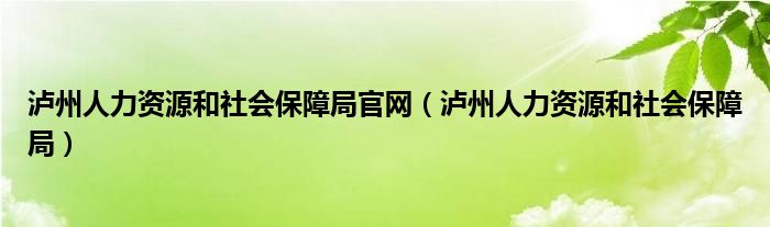瀘州人力資源和社會(huì)保障局官網(wǎng)（瀘州人力資源和社會(huì)保障局）