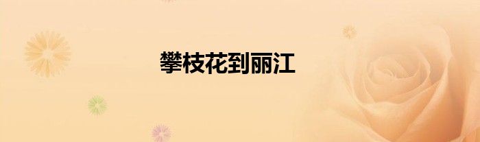 攀枝花到麗江