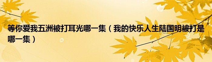 等你愛(ài)我五洲被打耳光哪一集（我的快樂(lè)人生陸國(guó)明被打是哪一集）