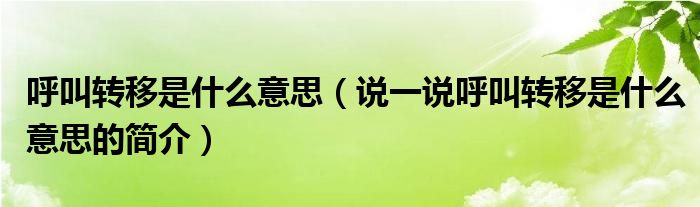 呼叫轉(zhuǎn)移是什么意思（說(shuō)一說(shuō)呼叫轉(zhuǎn)移是什么意思的簡(jiǎn)介）