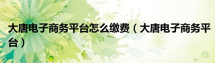 大唐電子商務(wù)平臺(tái)怎么繳費(fèi)（大唐電子商務(wù)平臺(tái)）
