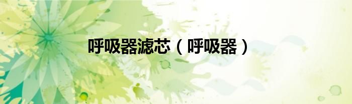 呼吸器濾芯（呼吸器）