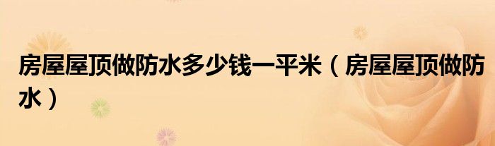 房屋屋頂做防水多少錢一平米（房屋屋頂做防水）